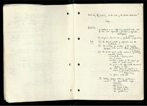 Politics in Film Theory (10) (US121/B/2/1/15) (click to see full size)