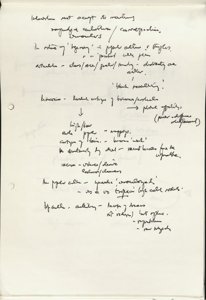 Race and Cesaire (14) (US121/B/2/1/13) (click to see full size)