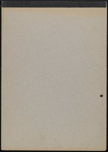 Race/1990s (13) (US121/B/2/1/4) (click to see full size)