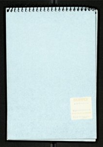 Notebook on Race (2) (US121/B/2/1/11) (click to see full size)