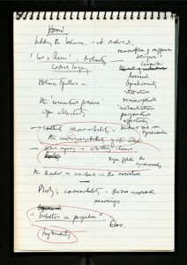 Notebook on Race (3) (US121/B/2/1/11) (click to see full size)