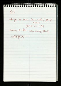 Notebook on Race (8) (US121/B/2/1/11) (click to see full size)