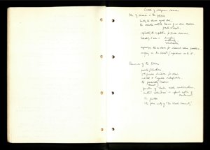 Race and Moral Panics (40) (US121/B/2/1/21) (click to see full size)