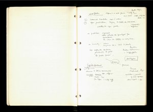 Race and Moral Panics (7) (US121/B/2/1/21) (click to see full size)