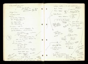 Race and Moral Panics (8) (US121/B/2/1/21) (click to see full size)