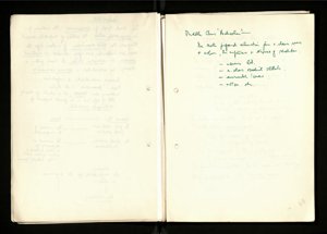 Notes and Drafts Spring 1974 (10) (US121/B/2/1/36) (click to see full size)