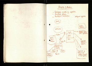Notes and Drafts Spring 1974 (38) (US121/B/2/1/36) (click to see full size)