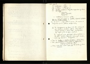 Notes and Drafts Spring 1974 (76) (US121/B/2/1/36) (click to see full size)