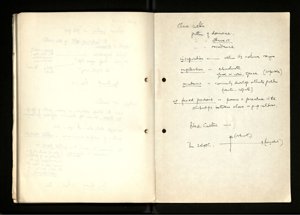 Notes and Drafts Spring 1974 (81) (US121/B/2/1/36) (click to see full size)