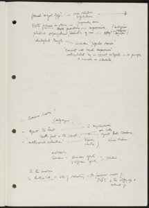 Ideology, Language, and Race (12) (US121/B/2/1/32) (click to see full size)