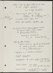 Ideology, Language, and Race (21) (US121/B/2/1/32) (click to see full size)