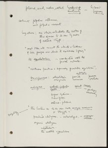 Ideology, Language, and Race (25) (US121/B/2/1/32) (click to see full size)