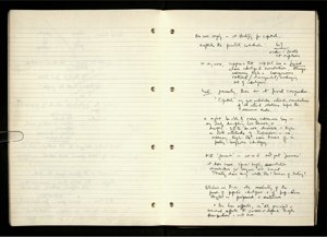 Democracy and Capitalism (23) (US121/B/2/1/17) (click to see full size)