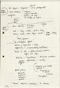 Race and Cesaire (23) (US121/B/2/1/13) (click to see full size)