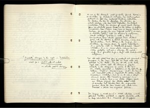 Democracy and Capitalism (41) (US121/B/2/1/17) (click to see full size)