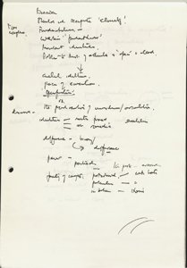 Race and Cesaire (41) (US121/B/2/1/13) (click to see full size)