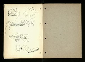 UNESCO Panama Notes (49) (US121/B/2/1/12) (click to see full size)