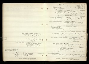 Democracy and Capitalism (49) (US121/B/2/1/17) (click to see full size)