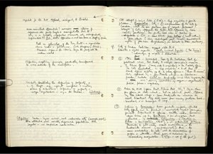Democracy and Capitalism (59) (US121/B/2/1/17) (click to see full size)