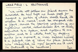 Hawthorne (62)(US121/B/2/3/1) (click to see full size)